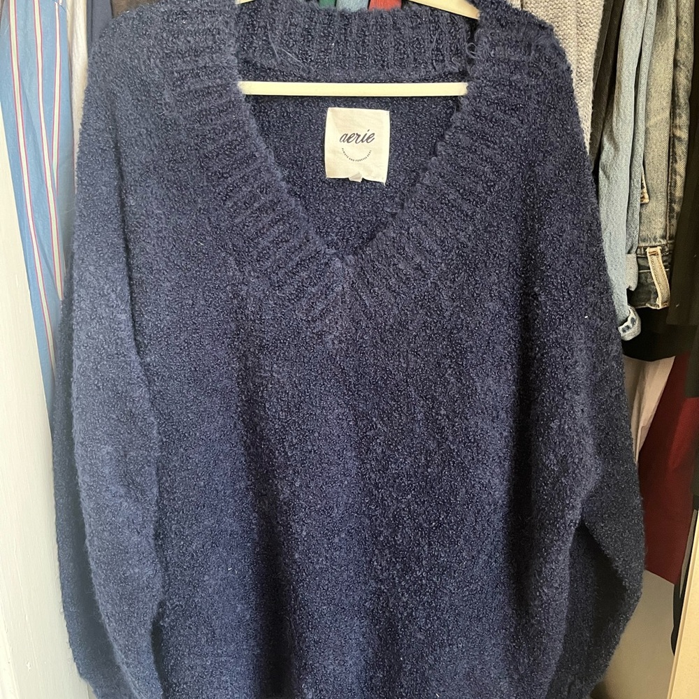 Aerie Teddy Bear Sweater